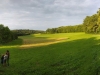 Kraeuterwiese 3