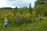 Wühlmausgarten 8