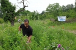 Einsatz auf der Bienenweide 01
