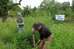 Einsatz auf der Bienenweide 02