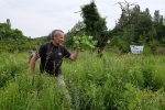 Einsatz auf der Bienenweide 06