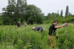 Einsatz auf der Bienenweide 08
