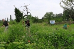 Panorama Bienenweide 2
