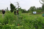 Panorama Bienenweide 3