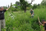 Panorama Bienenweide 4
