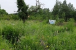 Panorama Bienenweide 5