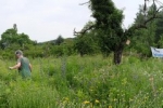 Panorama Bienenweide 6