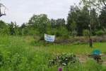 Panorama Bienenweide 7