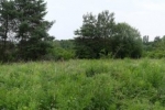 Panorama Bienenweide 8