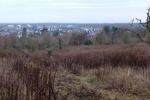 Erstpflege Im Hakel 01 10x31s