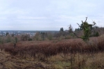 Erstpflege Im Hakel 09 10x36s