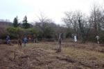 Erstpflege Im Hakel 11 10x15s