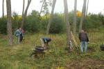Bickenbacher Duene - Arbeitseinsatz 1