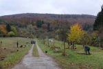Kirschgarten 73