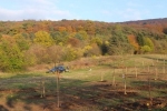 Kirschgarten 79
