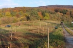 Kirschgarten 80