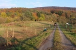 Kirschgarten 81