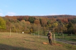 Kirschgarten 82