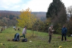 Kirschgarten 11