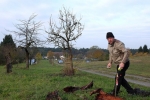 Kirschgarten 02