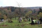 Kirschgarten 28