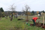 Kirschgarten 36