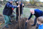 Pflanzaktion Wühlmausgarten 04