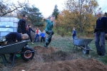 Pflanzaktion Wühlmausgarten 09