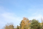 Drohnentraining 15