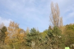 Drohnentraining 05