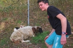 Schafweide 07