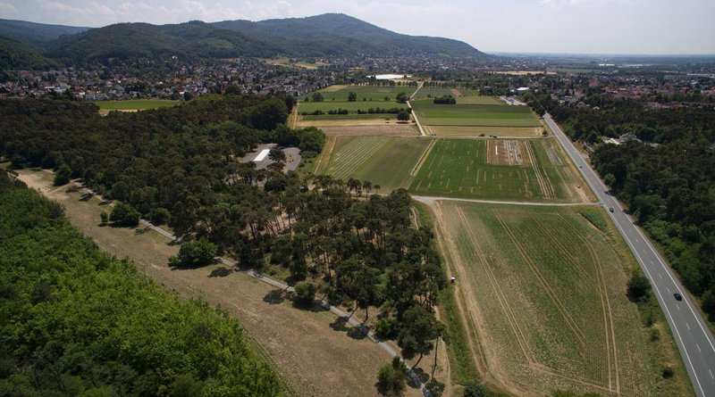 Luftbild Bickenbacher Düne 05