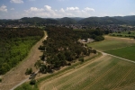 Luftbild Bickenbacher Düne 03