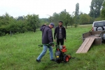 Einsatz Bieneweide 01