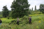 Einsatz Bieneweide 06