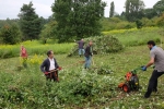 Einsatz Bieneweide 08