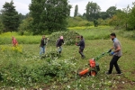 Einsatz Bieneweide 09