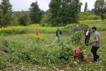 Einsatz Bieneweide 10