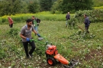 Einsatz Bieneweide 12