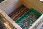 Bienen-Fütterung 1