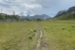 GraslandLIftCowboys