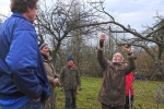 Baumschnitt Bipsweide - Einweisung 07