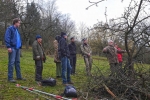 Baumschnitt Bipsweide - Einweisung 01