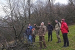 Baumschnitt Bipsweide - Einweisung 02