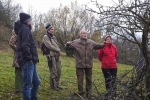 Baumschnitt Bipsweide - Einweisung 03