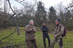 Baumschnitt Bipsweide - Einweisung 04