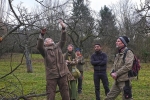 Baumschnitt Bipsweide - Einweisung 05