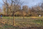 Storchenmast-Wiese-Hähnlein-08-10x28s
