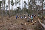 Pflanzaktion-im-Gemeindewald-Seeheim-14-10x16s