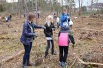 Pflanzaktion-im-Gemeindewald-Seeheim-20-10x15s